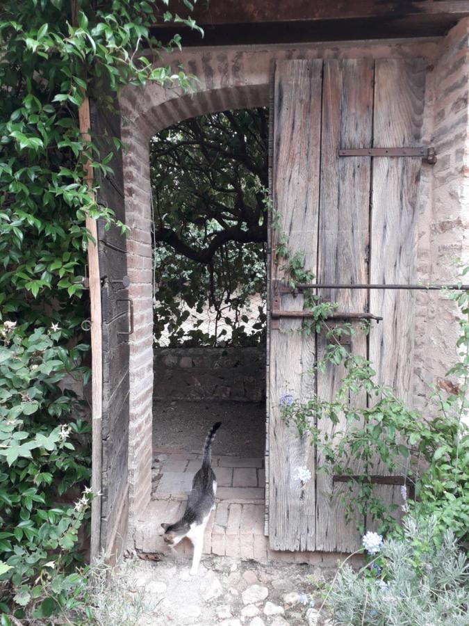 Maison d'hôtes La Palombaia à Spolète Extérieur photo