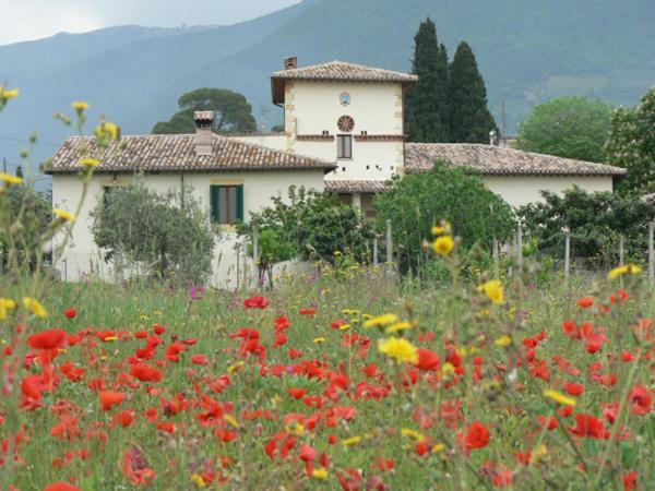 Maison d'hôtes La Palombaia à Spolète Extérieur photo