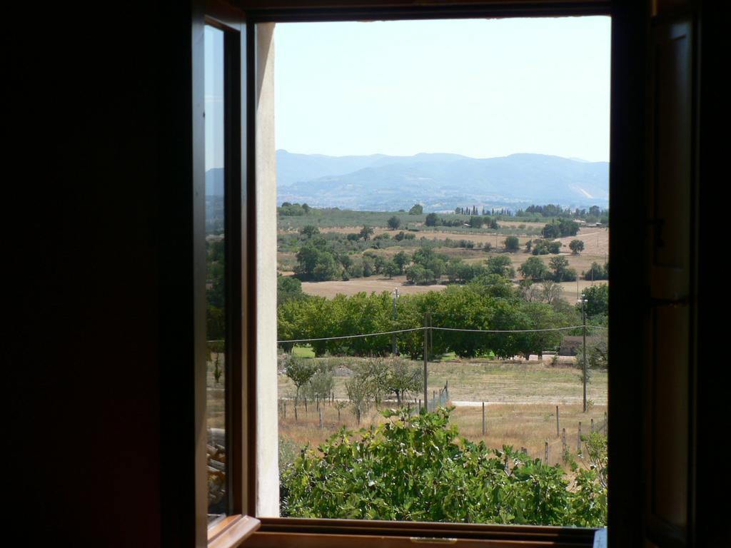 Maison d'hôtes La Palombaia à Spolète Extérieur photo